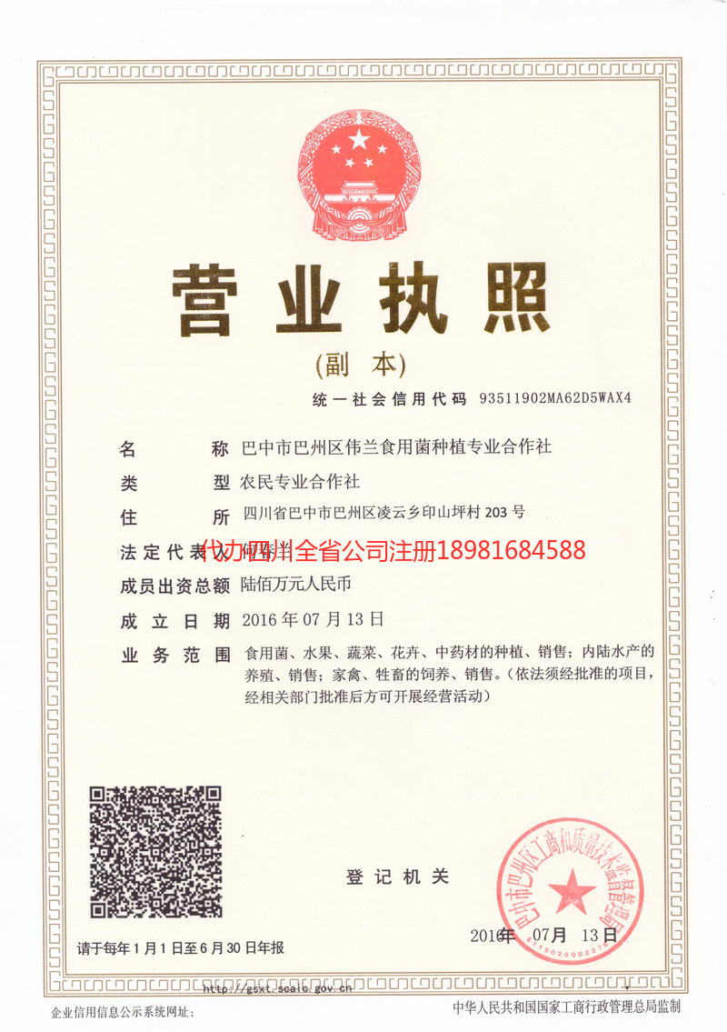 定州定州伟兰食用菌种植专业合作社